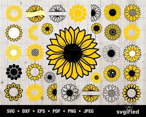 Girasol Svg Girasol Cricut Flor Svg Girasol Clipart Etsy