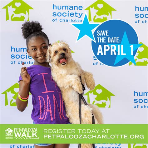 The Humane Society of Charlotte | Pet Adoptions & Animal Shelter