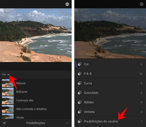 Como Criar Presets No Lightroom Pelo Celular