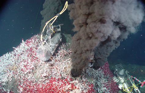 What Is A Hydrothermal Vent