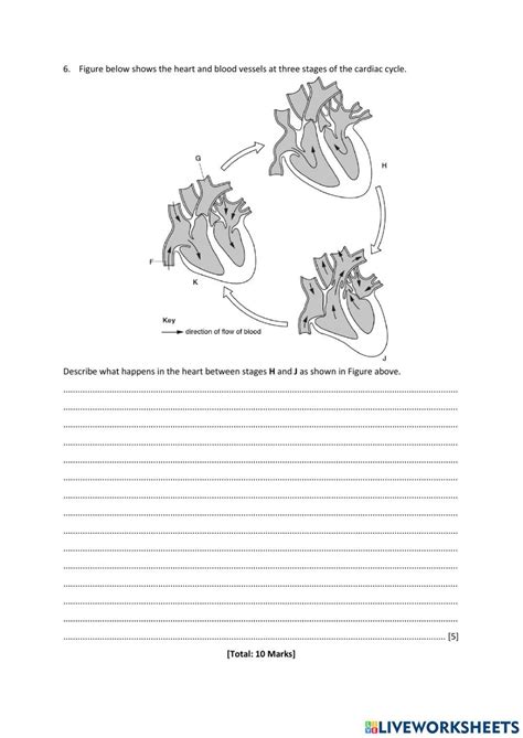 The Cardiac Cycle Online Exercise For Live Worksheets Worksheets