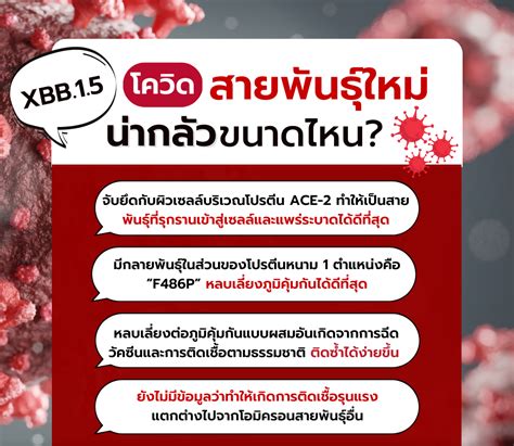 โควิดสายพันธุ์ใหม่ Xbb15 น่ากลัวขนาดไหน อีไลฟ์ สินค้าสุขภาพ