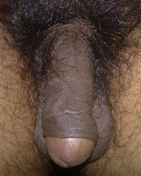 Gay Hot Cock Collection Pics XHamster