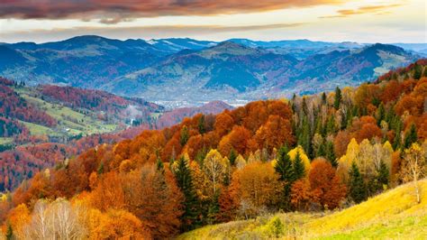 Sfondi Alberi Paesaggio Colorato Foresta Autunno Le Foglie