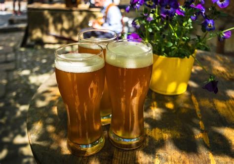 spring beers gayot