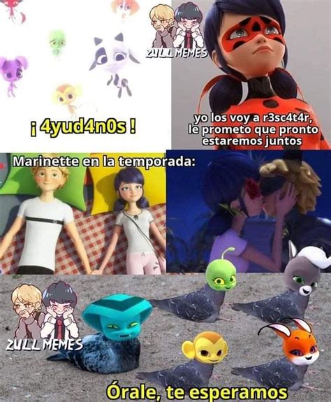 Pin De Katty Medina En Im Genes De Miraculous Ladybug Chistes