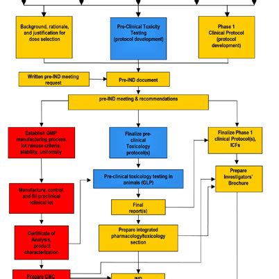 Preclinical Drug Development Stages Following Identification Of A Drug