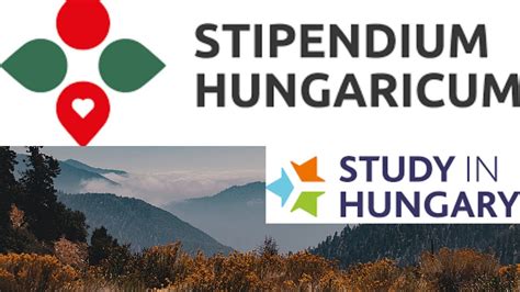 Stipendium Hungaricum Scholarship Application Process A Complete Guide