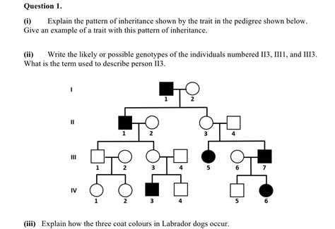 Solved I Explain The Pattern Of Inheritance Shown By The