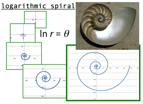 The Natural Logarithm Many things in nature come...