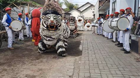 Acrobatic Lion Dance Macan Java Singo Raung Macan Java Singo Raung