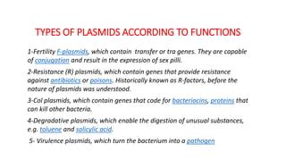 plasmid .genetic engineering.pptx