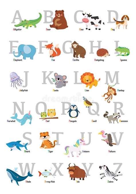 Colourful Animal Alphabet Flash Card Stock Illustration - Illustration ...