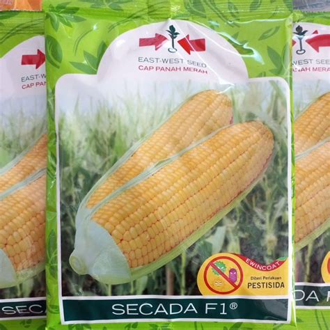 Jual Benih Jagung Manis Secada F Butir Cap Panah Merah Shopee