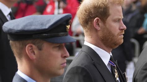 The Text That Harry Reportedly Sent Prince William That Still Haunts