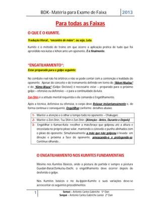 Mat Ria Para Kumites Faixas Vermelhas Pdf