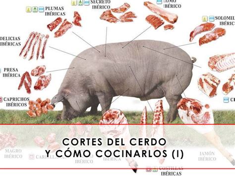 Partes Del Cerdo Y Sus Cortes Descubre C Mo Se Corta Un Cerdo Y