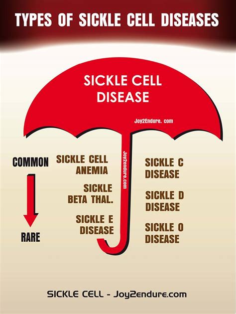 Sickle Cell Disease Sickle Cell Disease Causes Symptoms Treatment