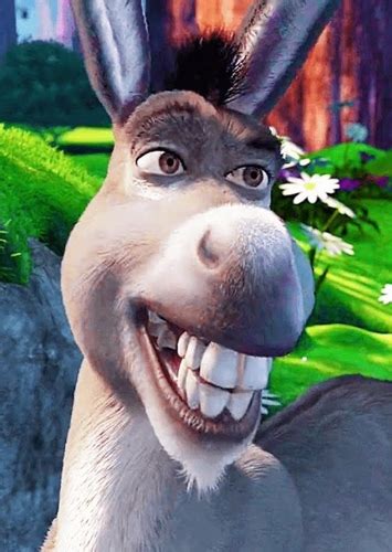 Donkey Shrek 2