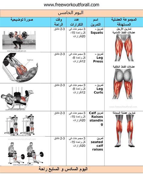 أقوى جدول تمارين كمال اجسام 4 أيام