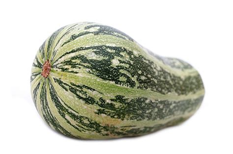 Zucchini Free Stock Photo Public Domain Pictures