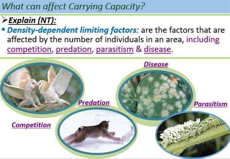 Density Dependent Factors Vs Density Independent Factors Ven