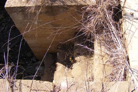 Hiking the Tswaing Meteorite Crater Near Pretoria - SkyAboveUs