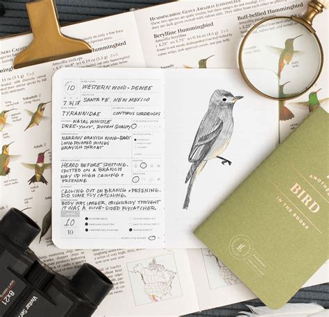 Bird Passport