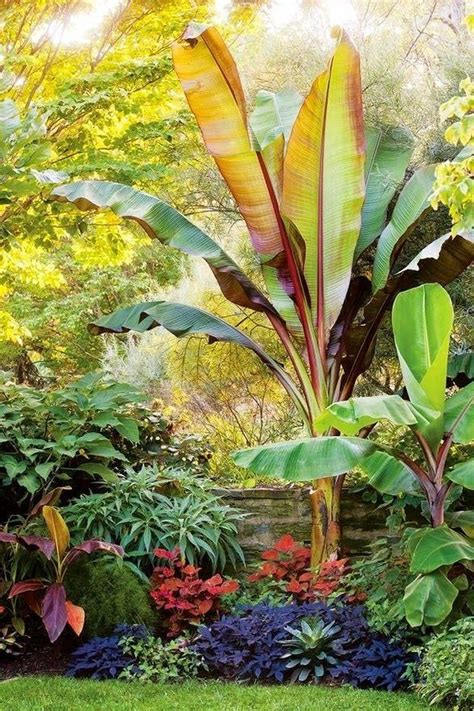 20+ Wonderful Tropical Landscaping Ideas For Garden