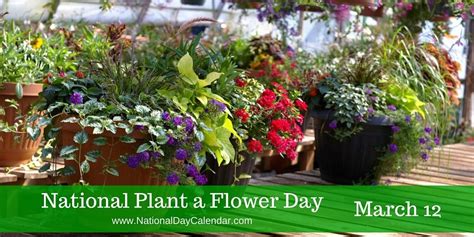 National Plant A Flower Day March 12 Plants Planting Flowers Flowers