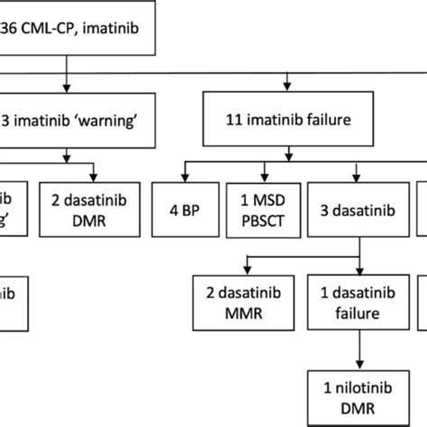 The Role Of Tkis In Combination With Epigenetic Drugs To Treat Cml