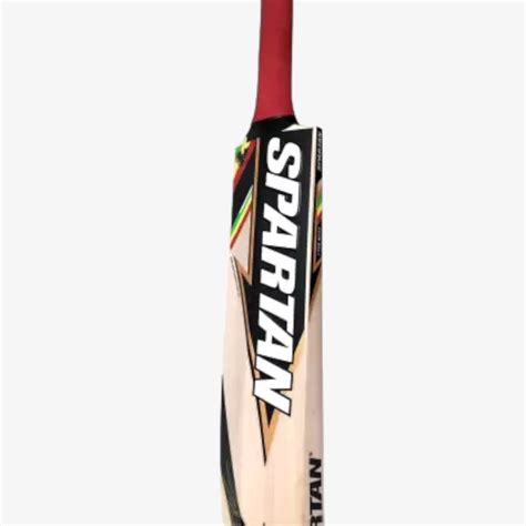 Spartan Chris Gayle Cyclone Kashmir Willow Cricket Bat Romjee Sports Llp