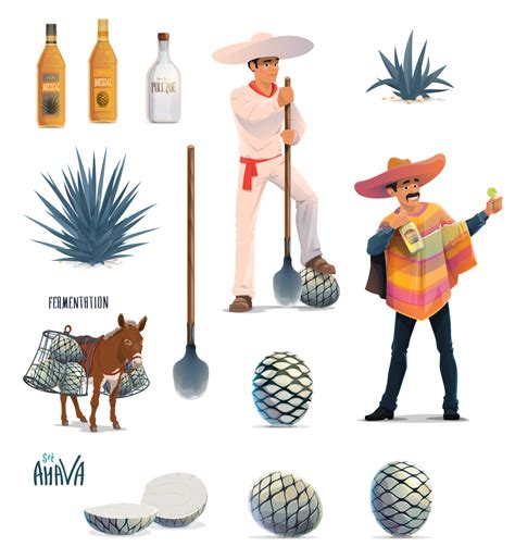 Agave Tequila Production Blue Agava And Bottles 23839537 Vector Art At