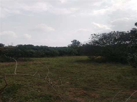 Agricultural Land Acre For Sale In Shoolagiri Hosur Rei