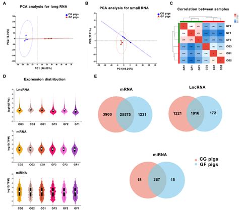 The Features Of The Expression Of Long Noncoding Rnas Lncrnas Mrnas