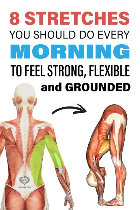 8 Morning Stretches To Improve Strength And Flexibility Live Love Fruit