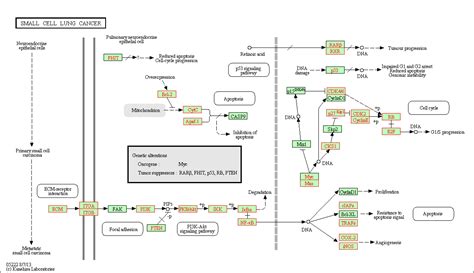 SPIA Introduction To DGE ARCHIVED