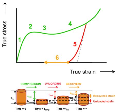 Schematic Representation Of The Intrinsic Stress Strain Behavior Of