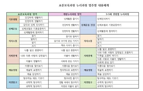 3~5세 연령별 누리과정과 2019 개정 누리과정 영역별 내용범주 비교 3차 표준보육과정 영역별 내용범주 비교 네이버 블로그