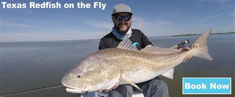 Fly Fish Rockport – Texas Saltwater Fly Fishing Guide Service