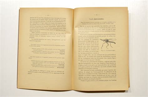 Los Insectos Hemat Fagos Y Transmisores De Enfermedades Por Juan Gil