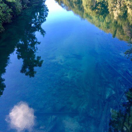 Abel Tasman Kayaks (Abel Tasman National Park) - 2018 All You Need to ...