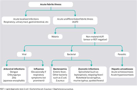 Assessment And Initial Management Of Acute Undifferentiated Fever In