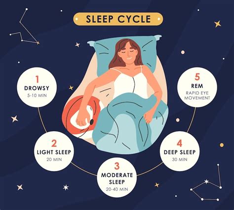 Premium Vector Sleep Cycles Infographic Nighttime Resting Stages