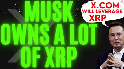 Elon Musk Owns 17 MILLION XRP We Have TRACED ALL The WALLETS Must