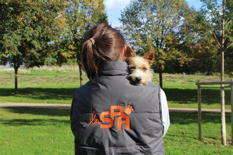 SPA Vaux le Pénil Refuges fourrières pour animaux adresse avis