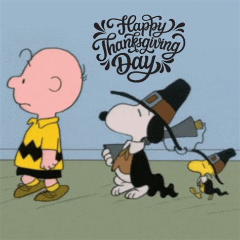 50+ Cute & Funny Happy Thanksgiving 2022 GIF Free Download