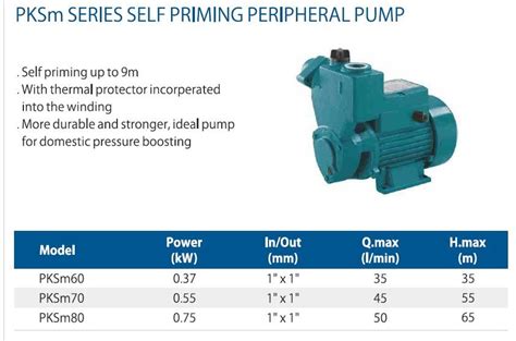 Pksm Series Self Priming Peripheral Pump At Best Price In Surat