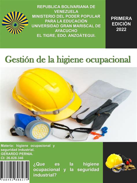 Gestion De La Higiene Ocupacional By Gerardo Pernia Issuu