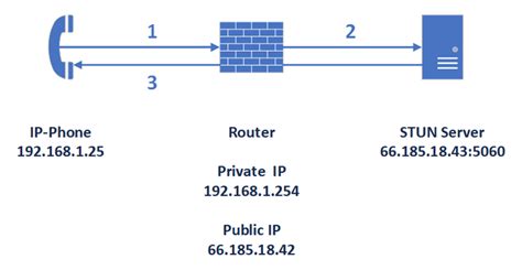 stun protocol clearlyip tips  tricks